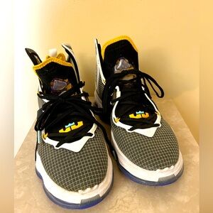 Nike LeBron 19 Graduate Size 8.5 Men’s EUC